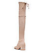 Stuart Weitzman,Tieland,Boot,Stretch suede,Taupe,Back View
